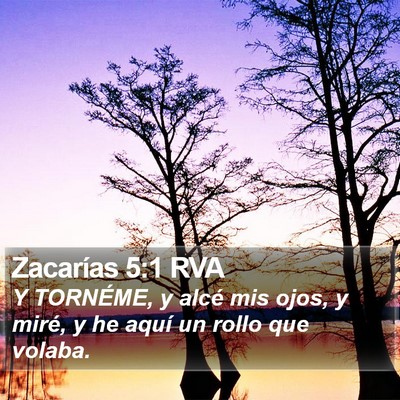 Zacarías 5:1 RVA Bible Verse Image