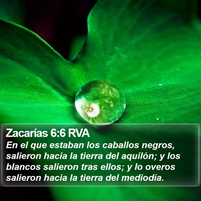 Zacarías 6:6 RVA Bible Verse Image