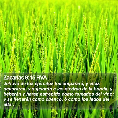 Zacarías 9:15 RVA Bible Verse Image