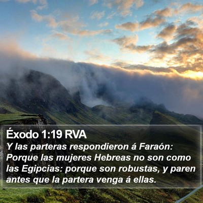 Éxodo 1:19 RVA Bible Verse Image