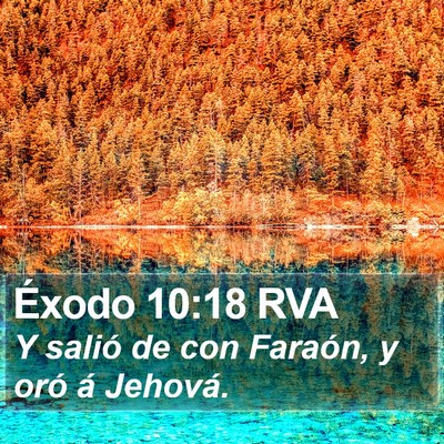 Éxodo 10:18 RVA Bible Verse Image
