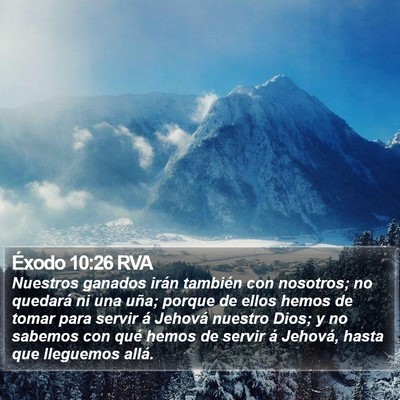 Éxodo 10:26 RVA Bible Verse Image