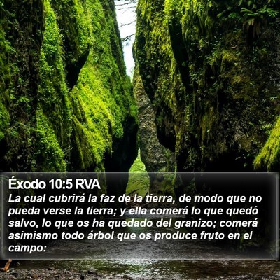 Éxodo 10:5 RVA Bible Verse Image