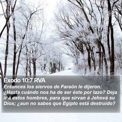 Éxodo 10:7 RVA Bible Verse Image
