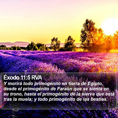 Éxodo 11:5 RVA Bible Verse Image