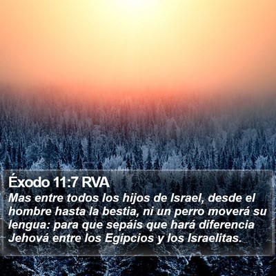 Éxodo 11:7 RVA Bible Verse Image