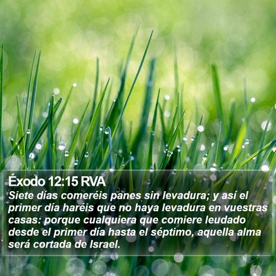 Éxodo 12:15 RVA Bible Verse Image