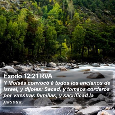 Éxodo 12:21 RVA Bible Verse Image