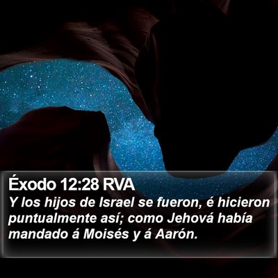 Éxodo 12:28 RVA Bible Verse Image