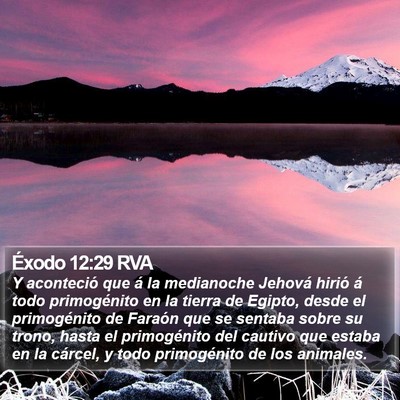 Éxodo 12:29 RVA Bible Verse Image