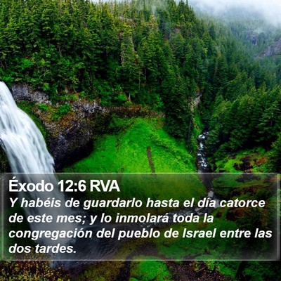 Éxodo 12:6 RVA Bible Verse Image