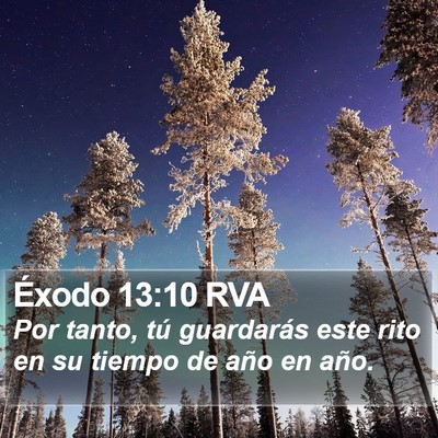 Éxodo 13:10 RVA Bible Verse Image