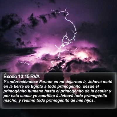 Éxodo 13:15 RVA Bible Verse Image