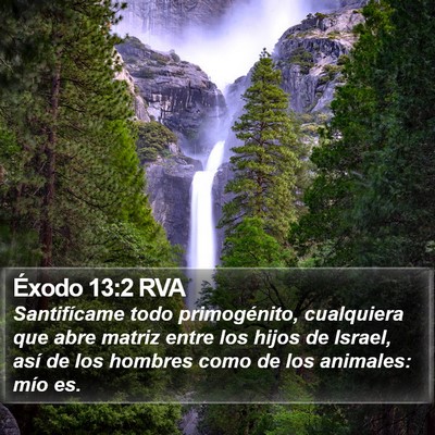 Éxodo 13:2 RVA Bible Verse Image