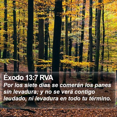 Éxodo 13:7 RVA Bible Verse Image