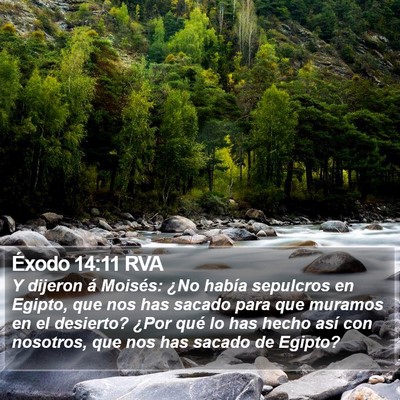 Éxodo 14:11 RVA Bible Verse Image