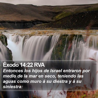 Éxodo 14:22 RVA Bible Verse Image