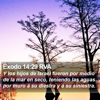 Éxodo 14:29 RVA Bible Verse Image