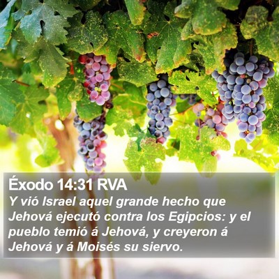 Éxodo 14:31 RVA Bible Verse Image