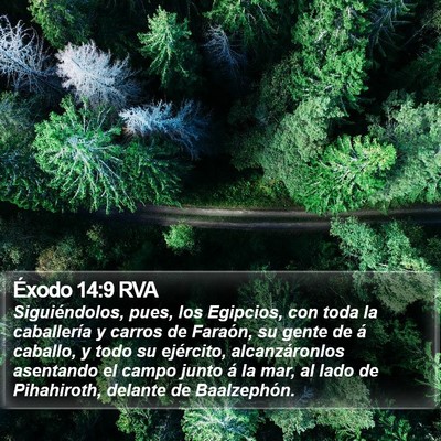 Éxodo 14:9 RVA Bible Verse Image