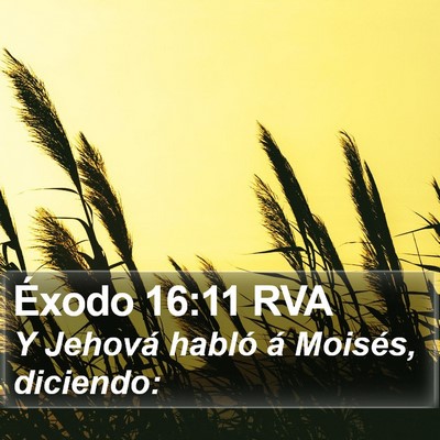 Éxodo 16:11 RVA Bible Verse Image