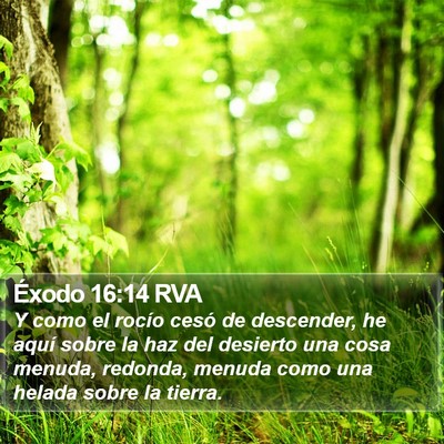 Éxodo 16:14 RVA Bible Verse Image