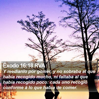 Éxodo 16:18 RVA Bible Verse Image