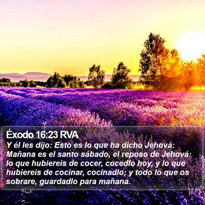 Éxodo 16:23 RVA Bible Verse Image