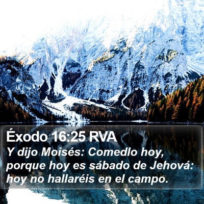Éxodo 16:25 RVA Bible Verse Image