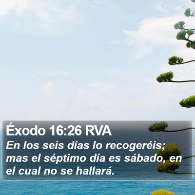Éxodo 16:26 RVA Bible Verse Image