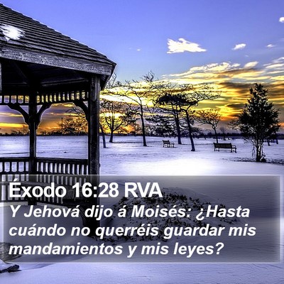 Éxodo 16:28 RVA Bible Verse Image