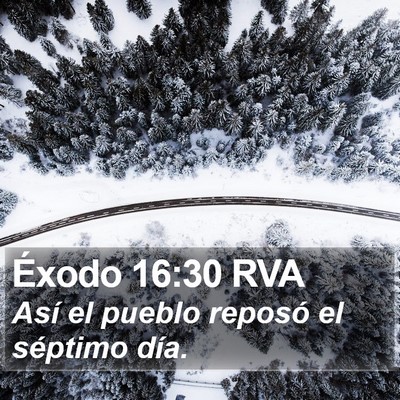 Éxodo 16:30 RVA Bible Verse Image