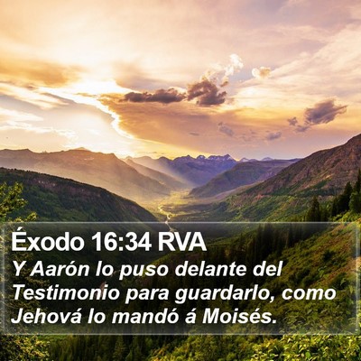 Éxodo 16:34 RVA Bible Verse Image