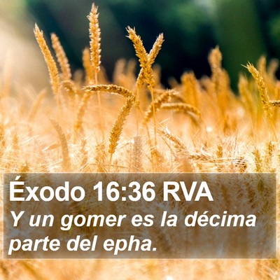 Éxodo 16:36 RVA Bible Verse Image