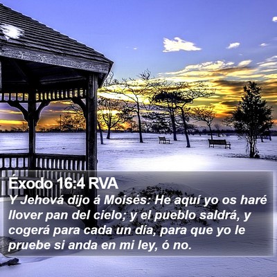 Éxodo 16:4 RVA Bible Verse Image