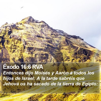 Éxodo 16:6 RVA Bible Verse Image