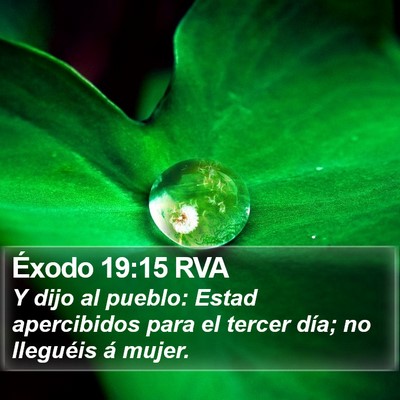Éxodo 19:15 RVA Bible Verse Image