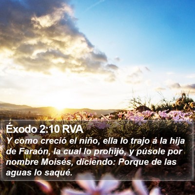 Éxodo 2:10 RVA Bible Verse Image