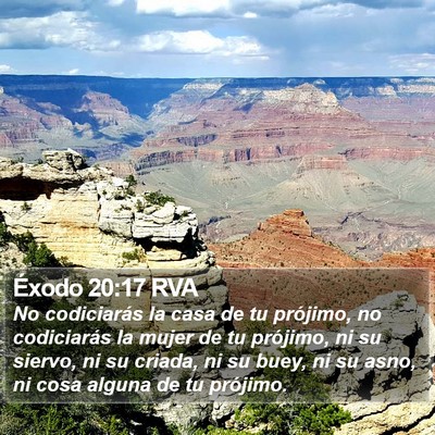 Éxodo 20:17 RVA Bible Verse Image