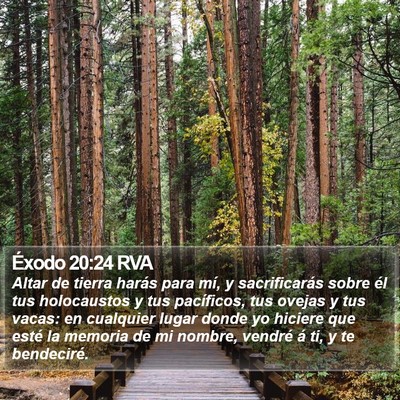 Éxodo 20:24 RVA Bible Verse Image