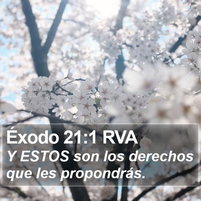 Éxodo 21:1 RVA Bible Verse Image
