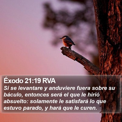Éxodo 21:19 RVA Bible Verse Image
