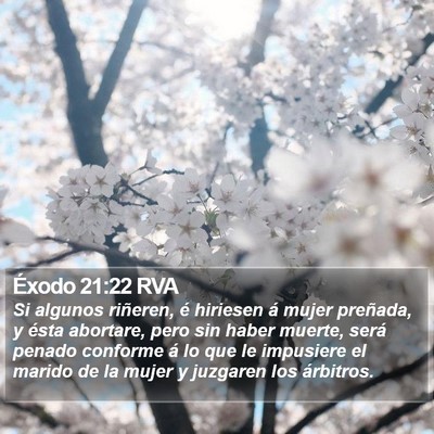 Éxodo 21:22 RVA Bible Verse Image
