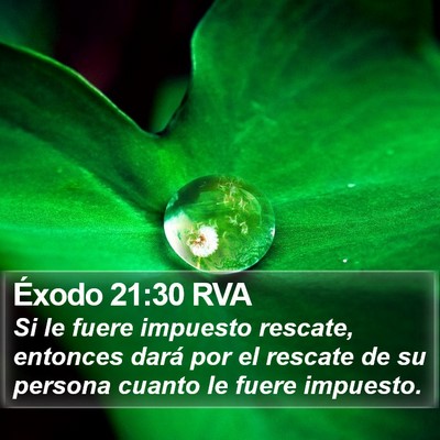 Éxodo 21:30 RVA Bible Verse Image