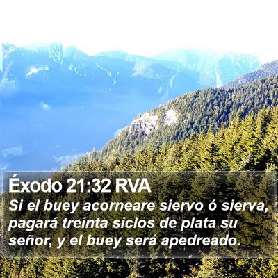 Éxodo 21:32 RVA Bible Verse Image