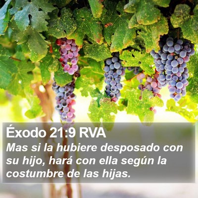 Éxodo 21:9 RVA Bible Verse Image
