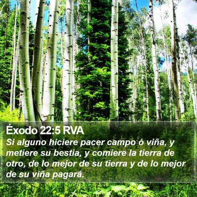 Éxodo 22:5 RVA Bible Verse Image