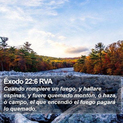 Éxodo 22:6 RVA Bible Verse Image
