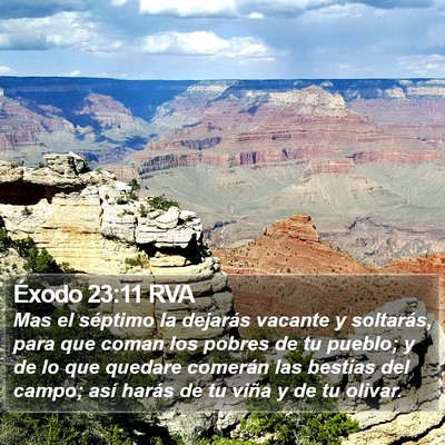Éxodo 23:11 RVA Bible Verse Image