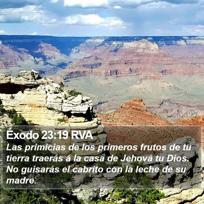 Éxodo 23:19 RVA Bible Verse Image